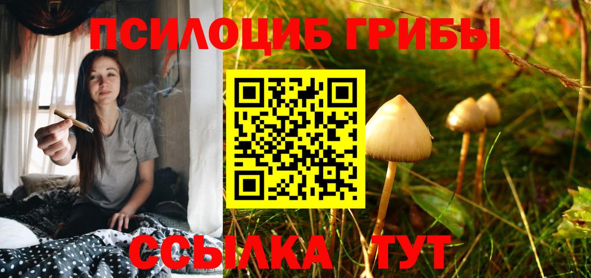 Галлюциногенные грибы Magic Shrooms Чита