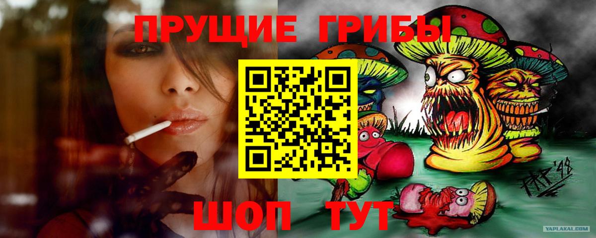 Псилоцибиновые грибы мицелий  Вход с VPN  Чита 